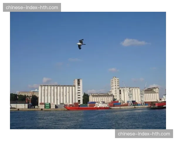 土耳其伊斯坦布尔举办万人柔道公开课，创吉尼斯世界纪录